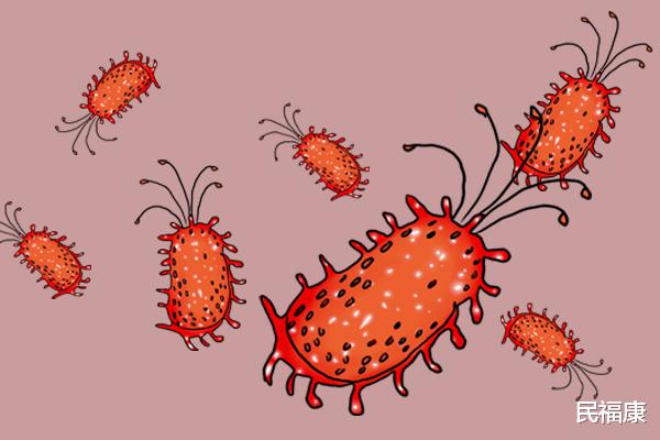 鸡蛋|鸡蛋好吃,做法丰富,但有几点需要注意