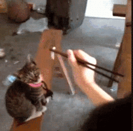 歪骆驼|“事实证明迎着阳光开车，离天堂最近，太危险了”