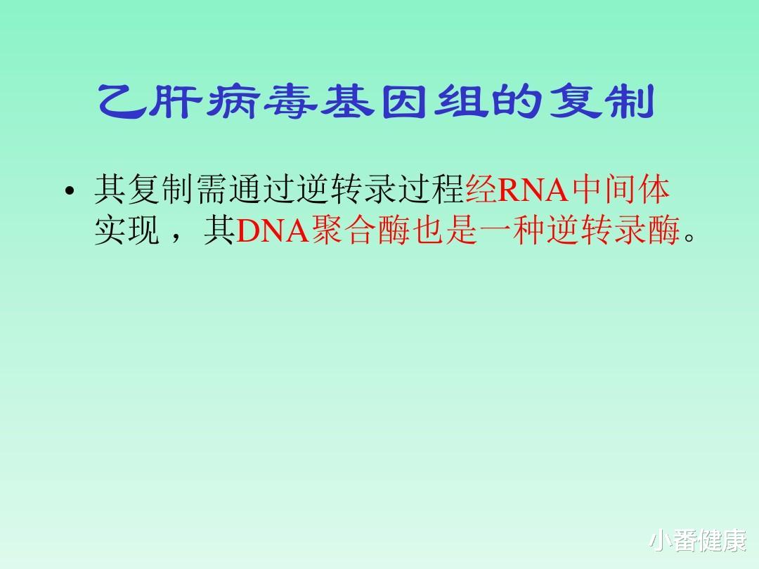 蘑菇云 乙肝今后药物靶点，转录活性模板，对cccDNA报以更多好奇心