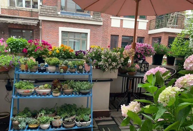 荒废了四年的10㎡北露台,改造成花园后,成了全家人最爱待的地方