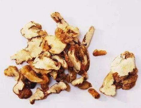 心脏病|历代本草著作关于黄精功效的记载