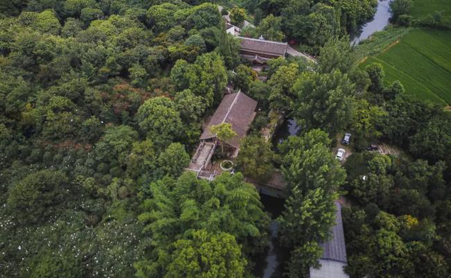 海口|成都一家三口住30亩院子，被媒体捧红后，继续孤独打造乐园