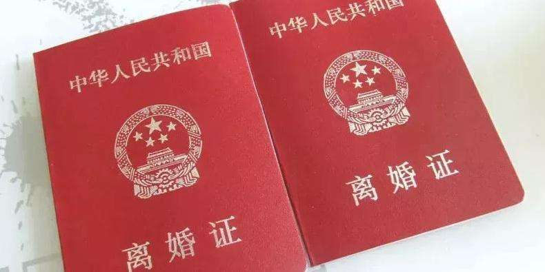 张译|张艺谋：支持女儿离婚，回来吧爸爸养你，不能让女儿受委屈