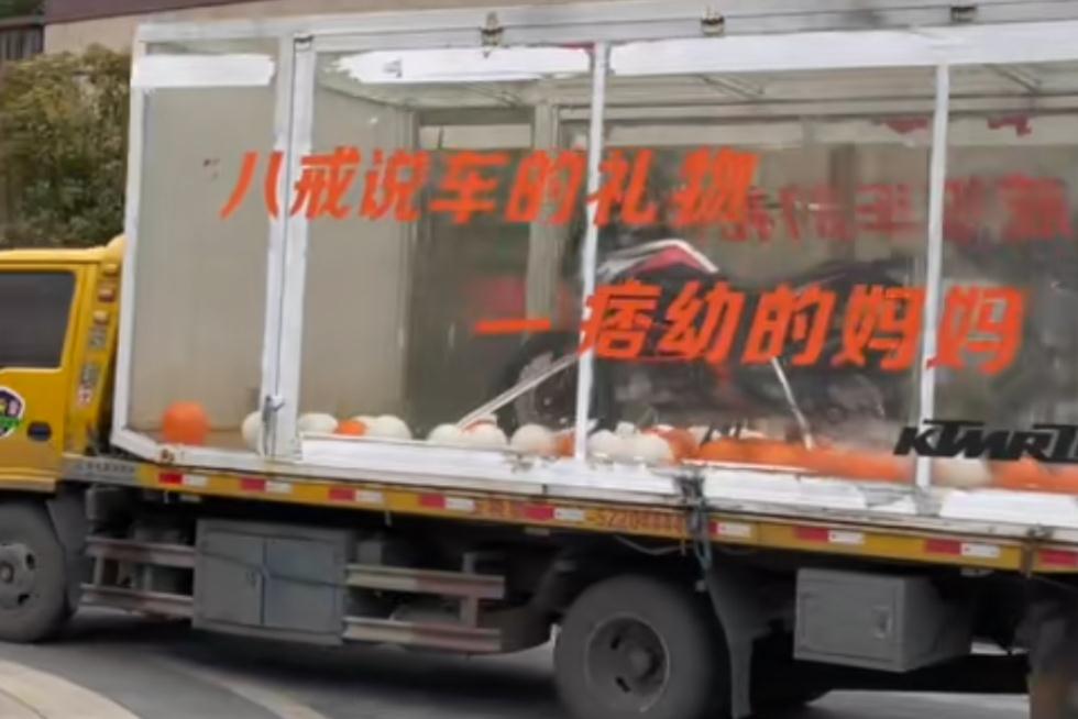 |痞幼又开始新一轮炒作，继猴哥之后又送车给八戒，真不怕砸口碑？