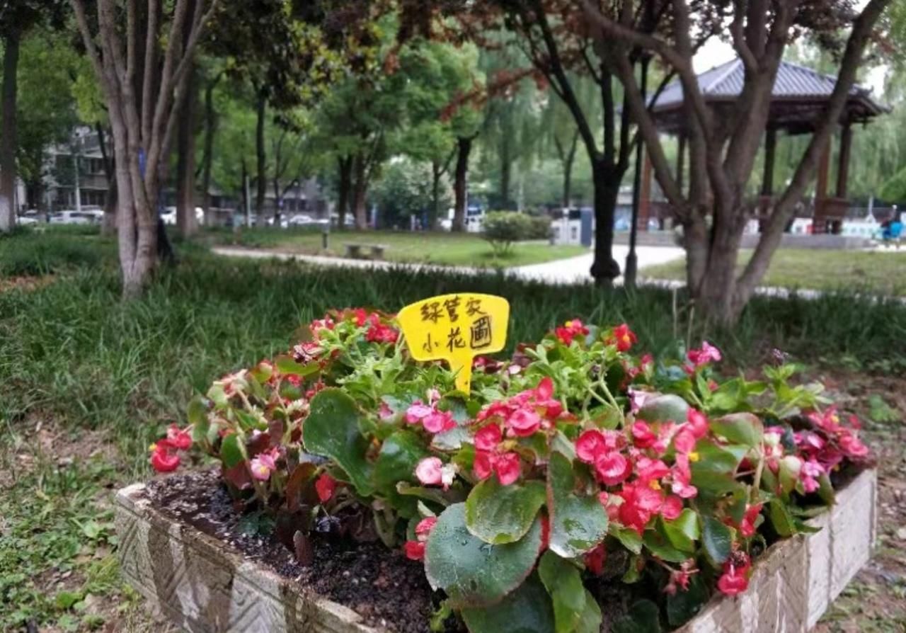 胡了说扒道 学习垃圾分类，迎接全国卫生城市复审，常青绿管家在行动