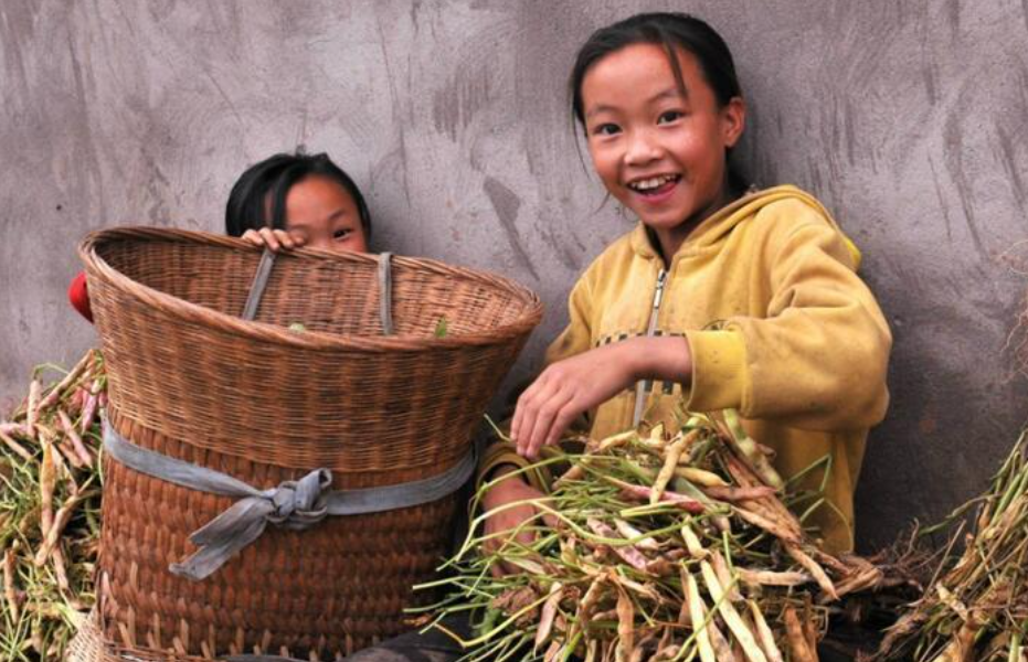 急诊室老苗|越穷越爱生孩子,理由还让你无法反驳,“穷生”的深层原因很现实
