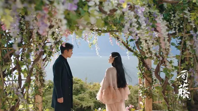 司藤|《司藤》男女主互动镜头被删了这么多？难怪配角戏份会遭网友吐槽