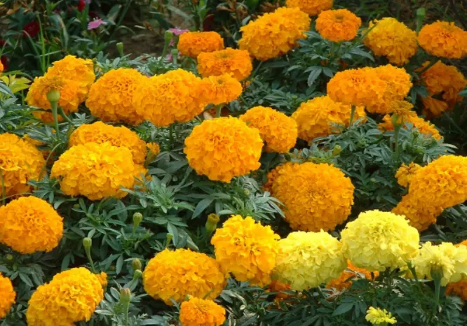 黑龙江 黑龙江特大车祸事故15人死亡!遇难者身份曝光:这就是我不敢矫情的原因