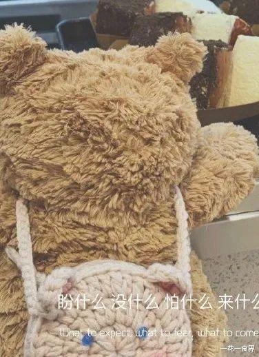 一花一食界|内卷都如此严重了，还要内耗？！
