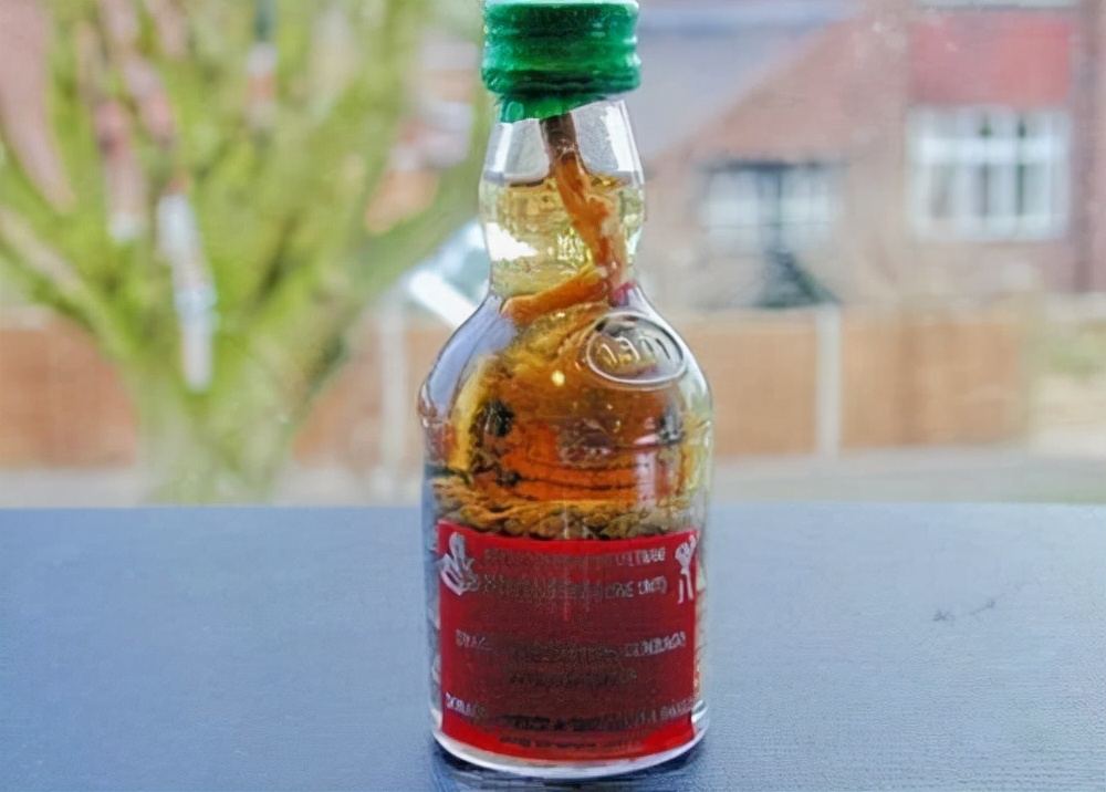 毒蛇 为什么有的毒蛇泡酒好几年,依旧会咬人?蛇究竟有多厉害?
