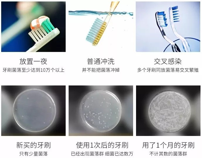 恕我直言：这些“网红好物”，一个比一个实用，建议备齐
