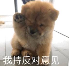 桉月|表情包：可爱萌宠的表情