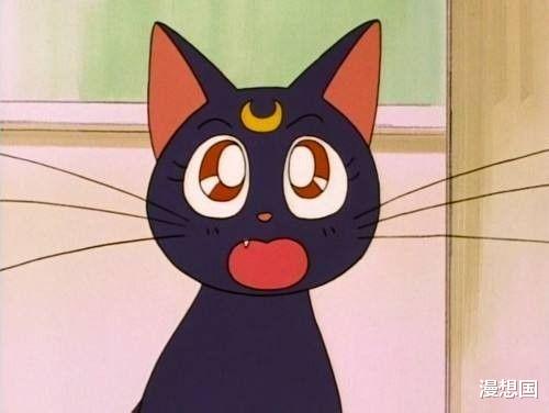 虹猫|动漫中的十大神猫！一个比一个厉害！你认识几个？