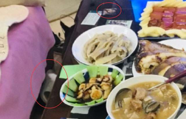 郭碧婷|郭碧婷带向佐和女儿回娘家，郭爸爸愿望成真，做14菜1汤招待女婿