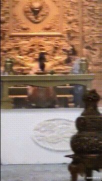 菠菜 “去女老板家上厕所，发现没洞，这怎么用？”网友回复笑趴了...