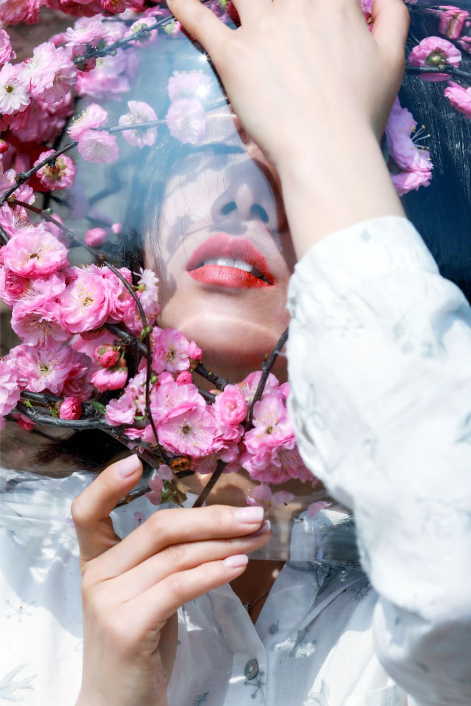 盛开 摄影师 老默