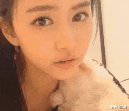 搞笑神回复|神回复:“如何用一句话来形容手机很卡?”网友评论太搞笑了啊!