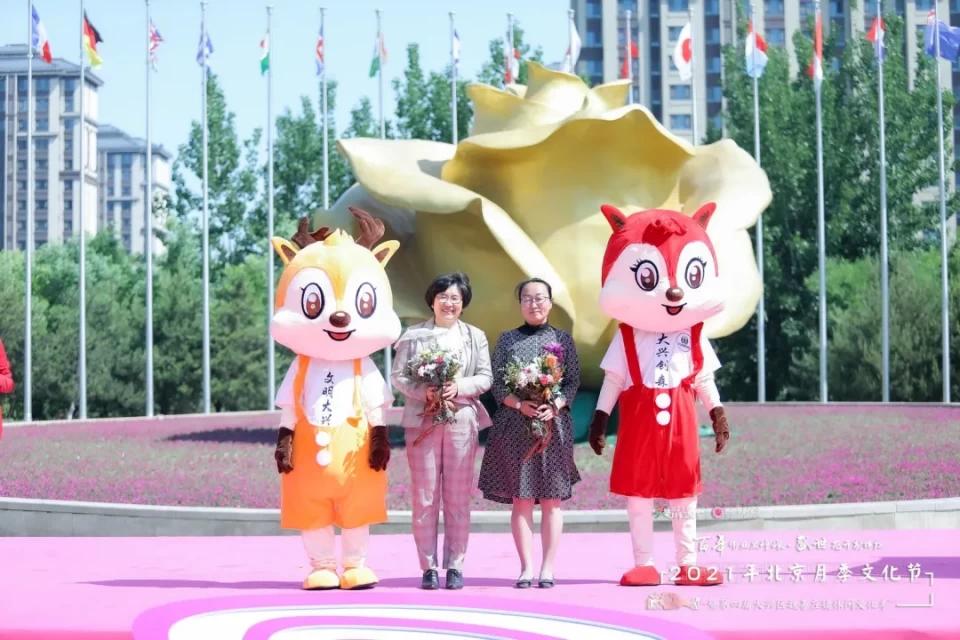 产经报道 2021年北京月季文化节暨第四届大兴区魏善庄镇休闲文化季盛大开幕！
