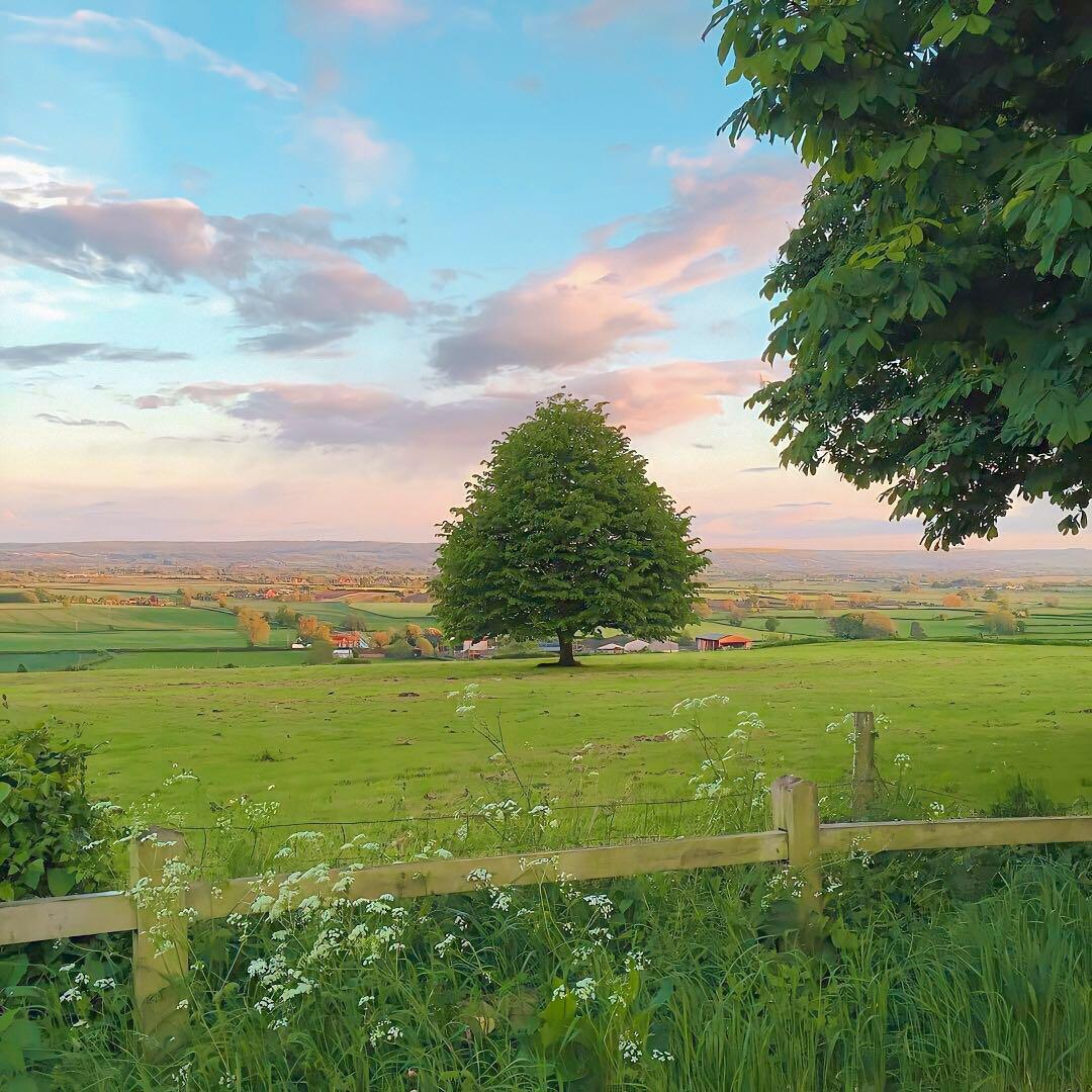 人际关系|12星座中，完全没有拖延症的3个星座，向来说做就做