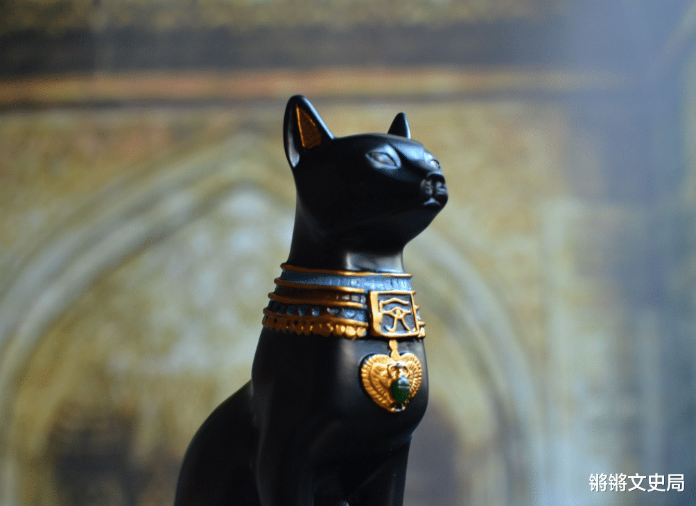 王仁湘 同样是“猫奴”，中国与古埃及之间有何不同？