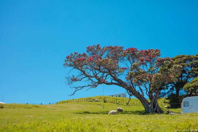 人力资源|55条你当领导后才明白的道理