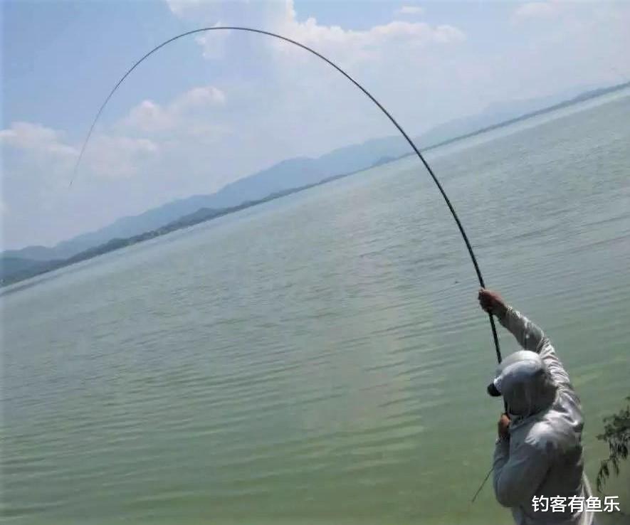 饵料|夏天钓草鱼，掌握简单几点，新手一样连竿