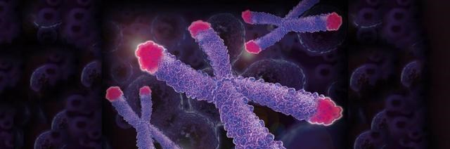 人类为何不能永生？科学家：人类都是“打工仔”