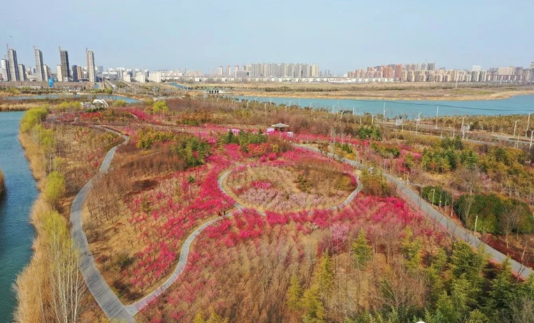 烈山文化旅游体育局 梅开正当时,南湖暗香来!