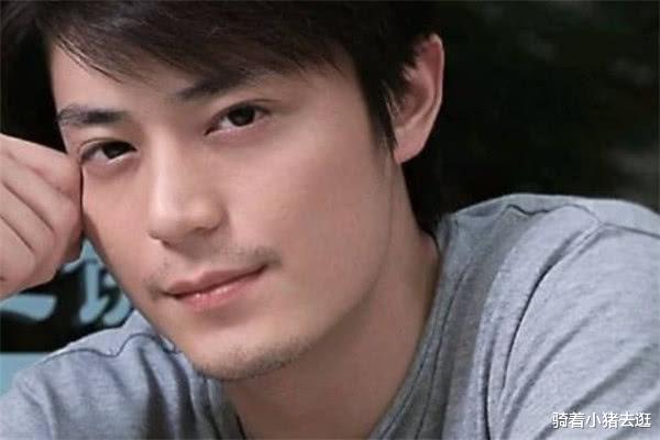 胡歌|中国“最低调”的六大男星，胡歌只能第五，第一帅到祸国殃民