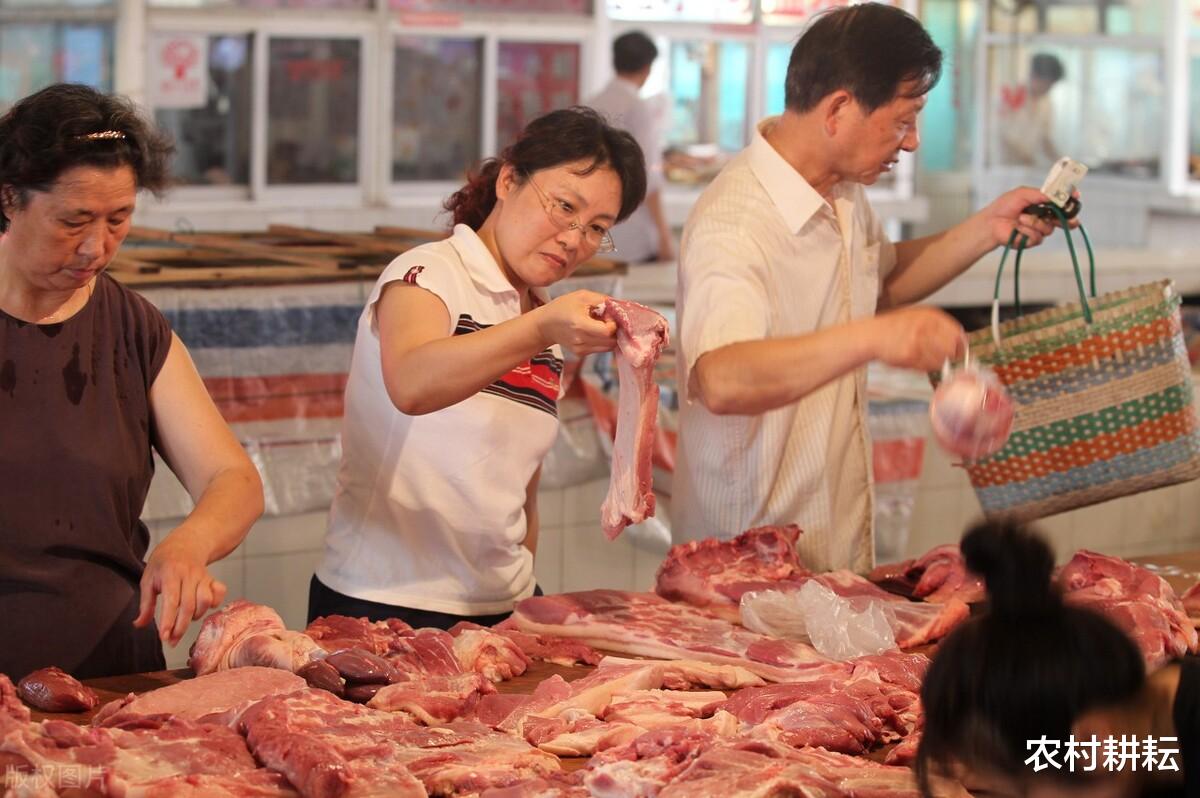 生猪价格 猪价大降33%，10元生猪要来？权威人士解说未来猪价