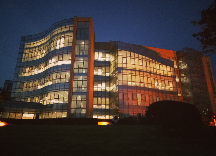 红莲少年|双减落地后，这七点变化，让家长们欢呼雀跃