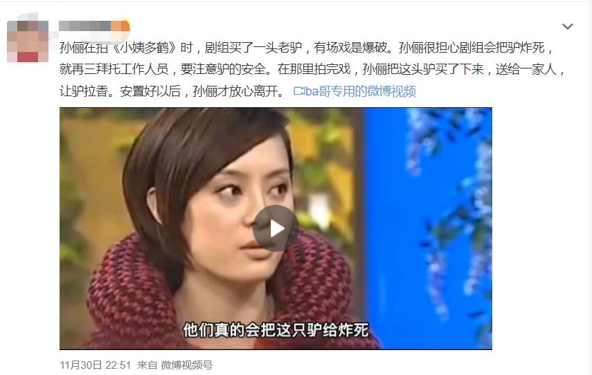 孙俪|孙俪拍戏遇到剧组猫咪晕倒，花钱为猫治病，猫咪看到孙俪感恩流泪