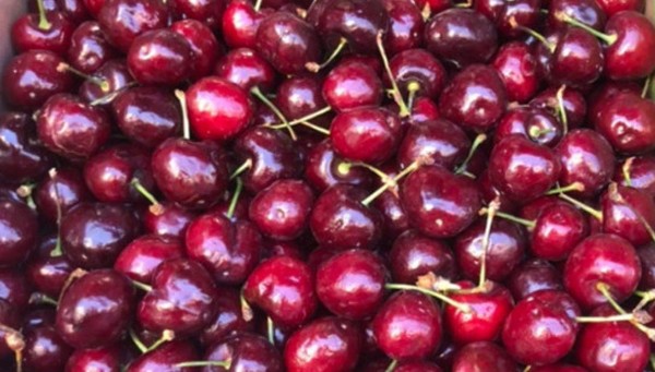 水果|冬季水果都有什么？