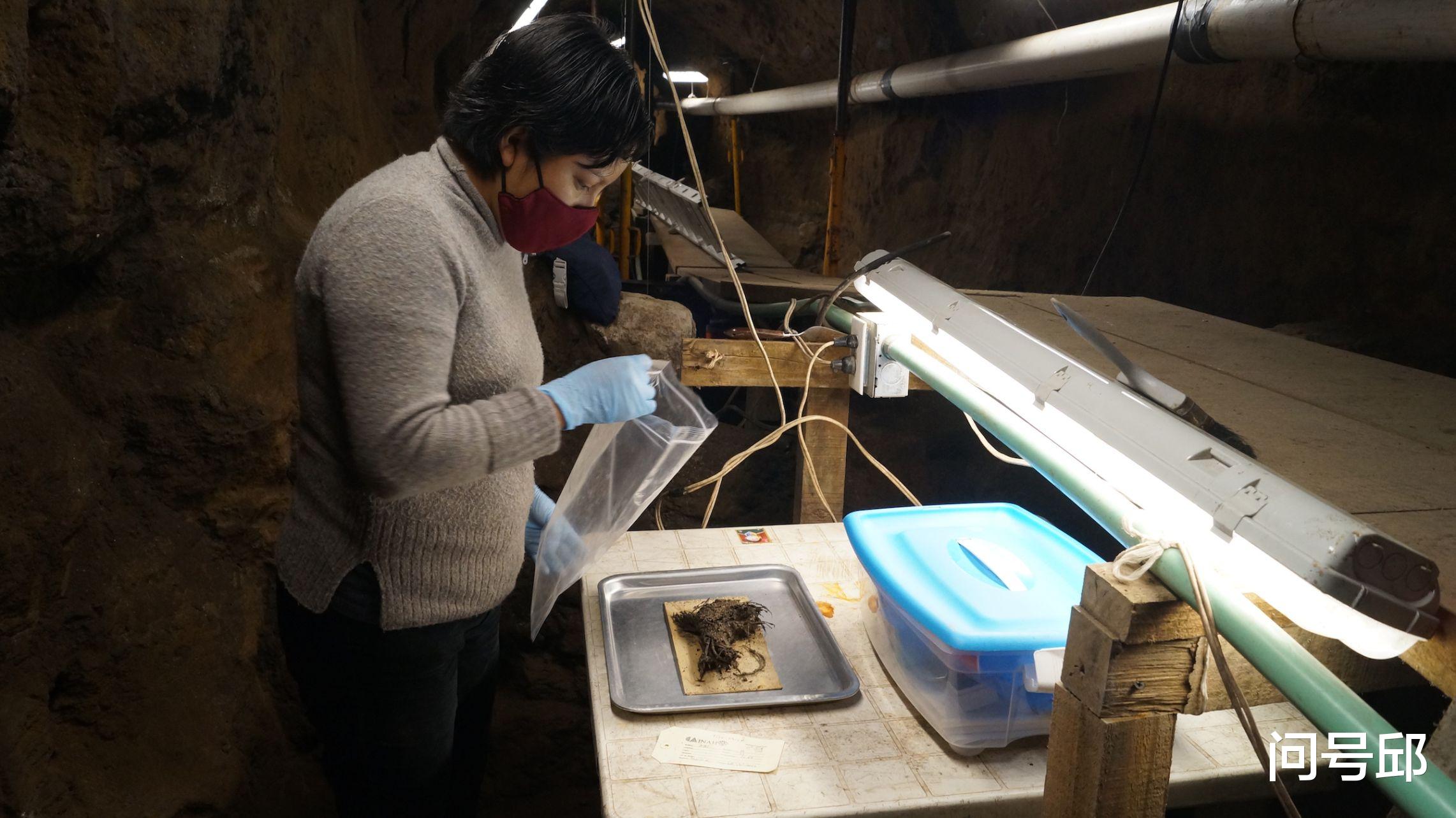 金字塔 墨西哥特奥蒂瓦坎金字塔下发现遗址：2000年前的一束干花