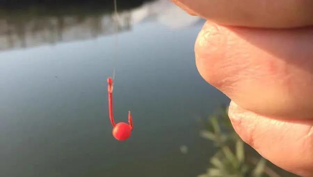 饵料|不花一分钱的钓饵，还专钓大板鲫？带你了解“泡沫钓鱼”的真相