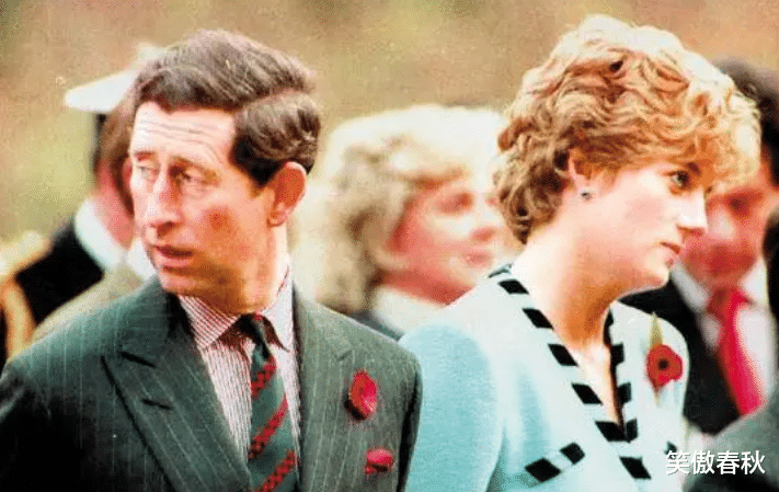 许晴|哈里出生时那一头红发，刺痛查尔斯敏感的心，和戴安娜彻底翻了脸