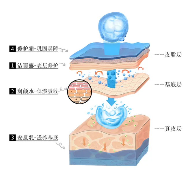 护肤 科普 | 护肤界的“明星”——麦角硫因到底是什么？