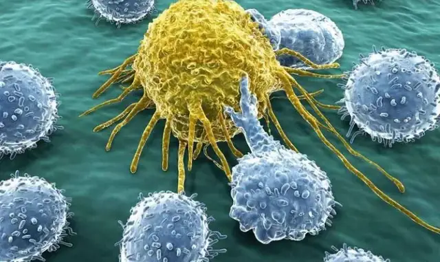 健康陕西发布|每个人身体里都有癌症基因！做好这5点可降低风险！