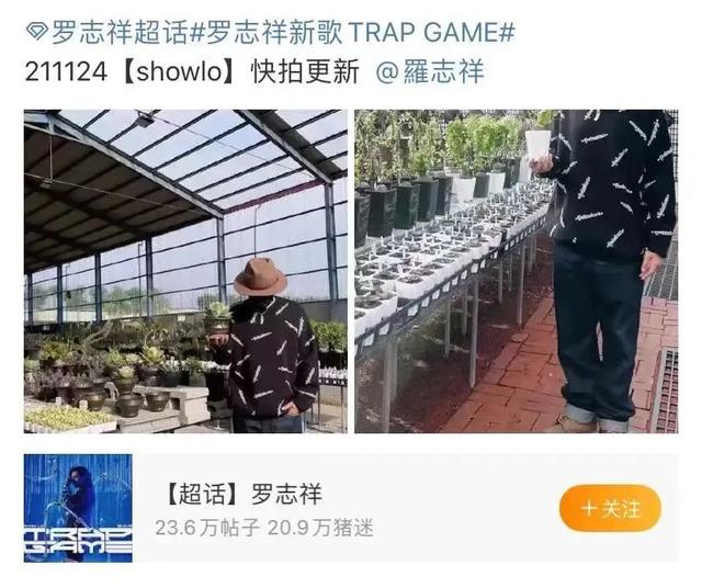 王丽坤|吴亦凡、郑爽上警示名单：当偶像沦为呕像……