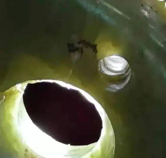 玛瑙|关于红山文化玉器的浅薄认知及鉴定心得