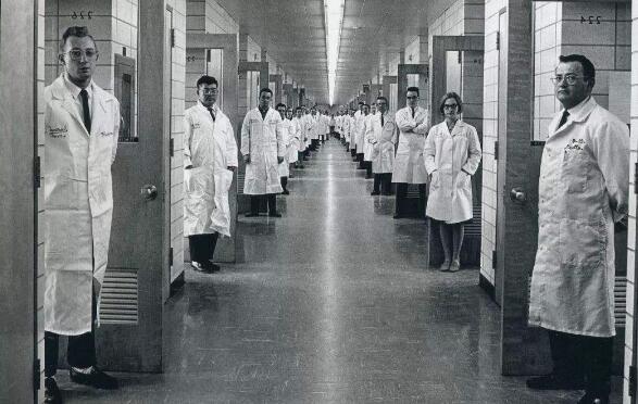 我们高估了自己的大脑？人类大脑的真实存储量可能比想象中小得多