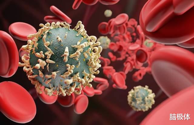  AlphaFold2爆火背后，人类为什么要死磕蛋白质？