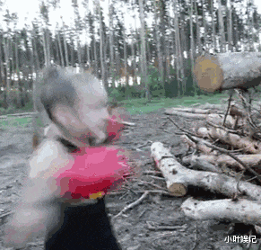 小叶娱记|神回复:能不能25退休,退到55再回来上班?