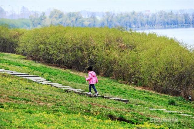 哈尔滨新闻网 你好啊，这花花世界｜今天最高气温近20℃
