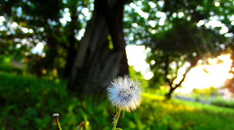 二胎|内卷之下,35+女性的职场困境,该如何突围?