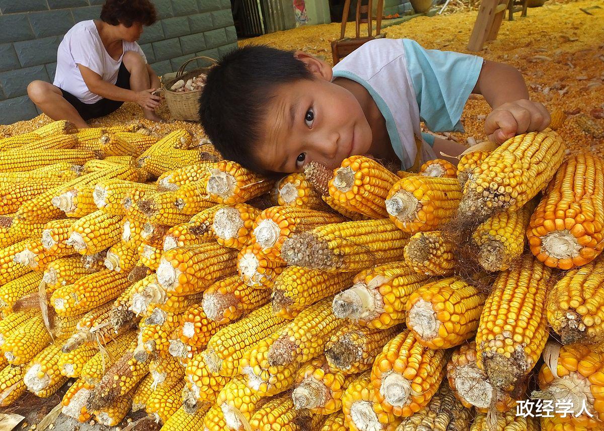 黄金 隐秘的粮食战争:外资联手“做局”中国粮食市场,却被中国反将一军