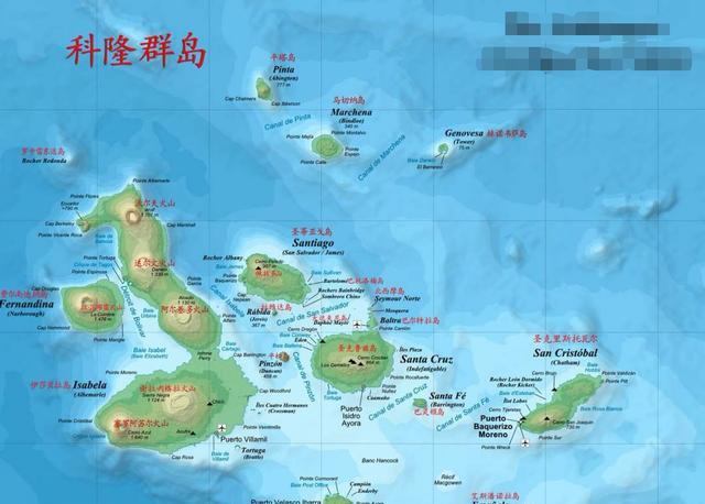 崇明岛|最奇葩的岛屿：地处赤道却有企鹅，达尔文都在这里惊掉了下巴