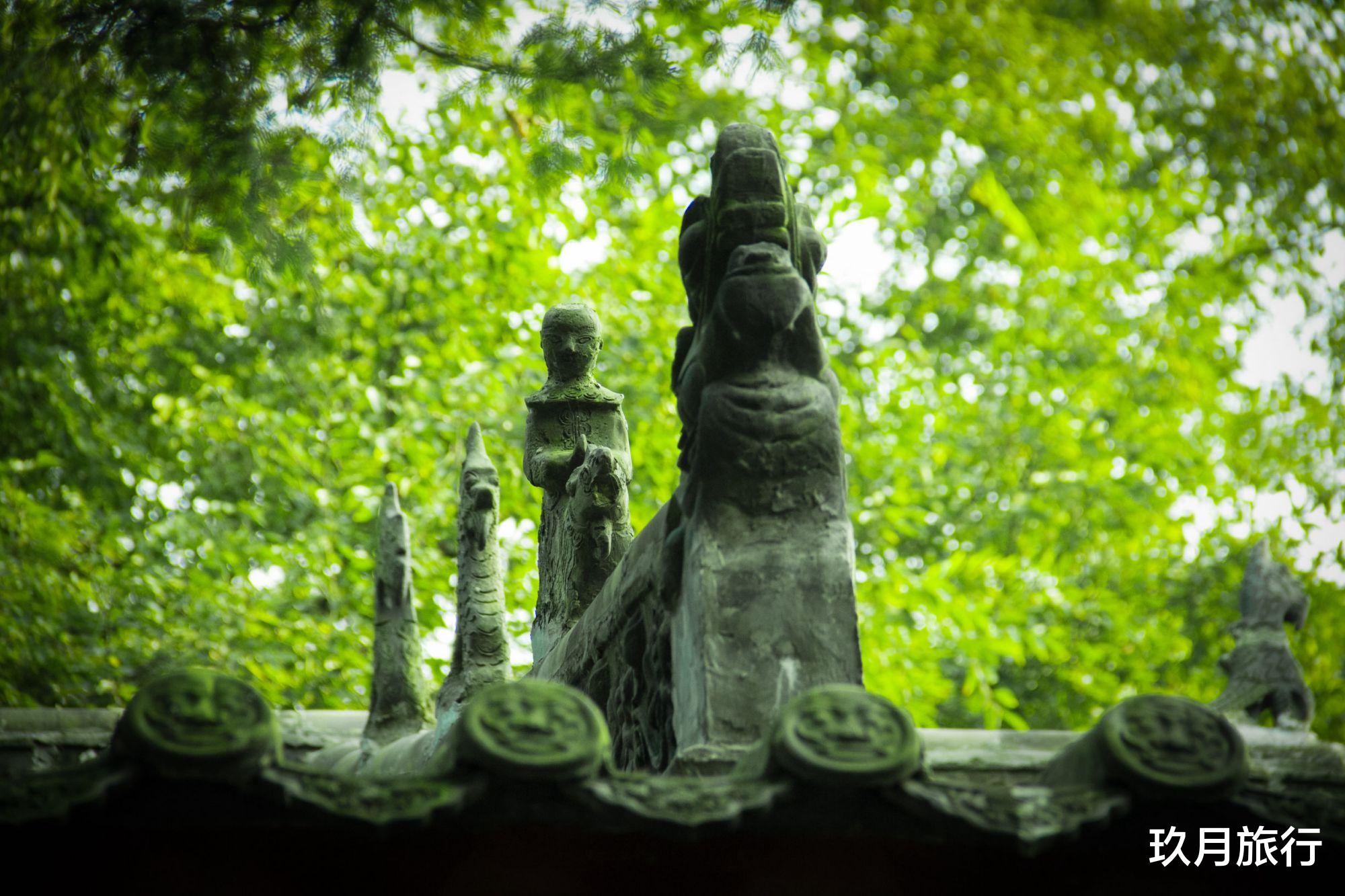 玖月旅行 世界唯一一株！陕西400多岁的古旱莲开花了，被誉为“植物熊猫”