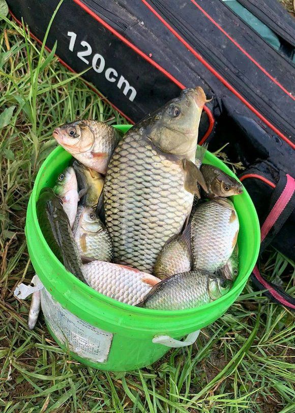 金沙江|金沙江边野钓狂欢, 一天钓鱼数百斤! 有人彻夜不眠, 只因放生数十吨