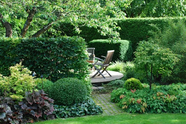 如果你有一个院子,可以这样设计